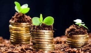 golden-coins-e1735466319994