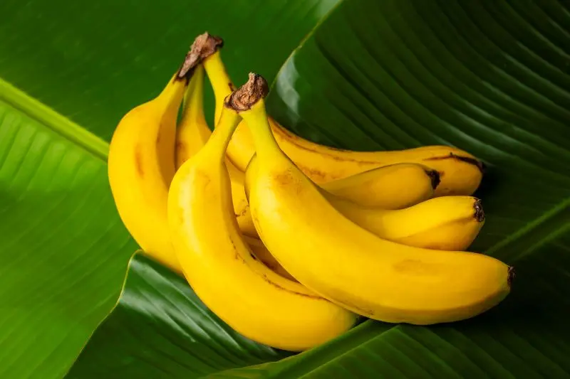 Tại sao chúng ta ghét những thứ rẻ tiền?